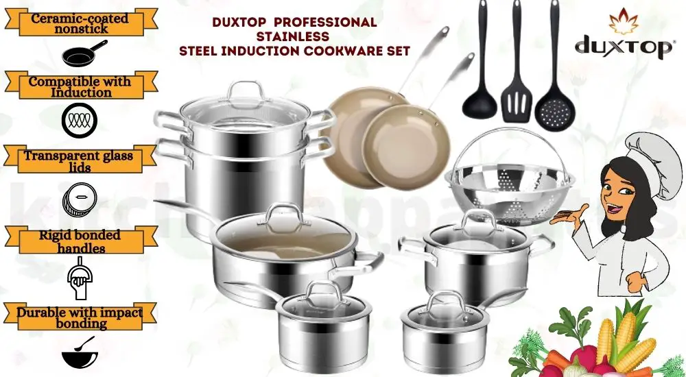 Duxtop 17PC Professional Stainless Steel Induction Cookware Set with  Ceramic Coating Nonstick Frying Pan, 100% Free of PFAS PFOA PTFE, Oven 
